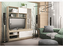 Гостиная Софи №1, дуб сонома/белый глянец